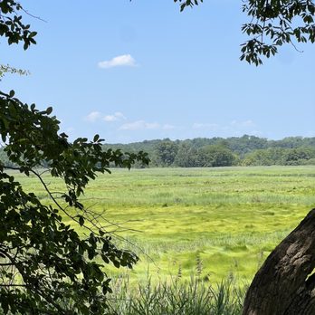 Cheesequake State Park - Parks Near Me - Matawan, New Jersey