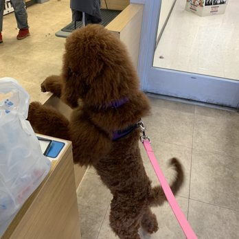 Petco - Minzi loved them! - Pet Stores Near Me - Columbia, Maryland