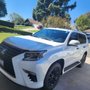L&S Auto Glass