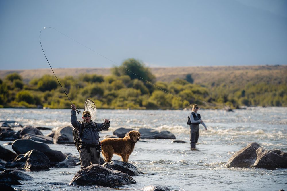 Montana Casting Logo
