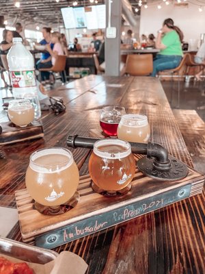 Senate Avenue Brewing Company by null