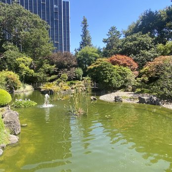 Japanese Gardens - Parks Near Me - San Mateo, California Japanese Gardens - Parks Near Me - San Mateo, California