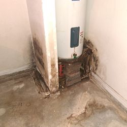Specialty Home Inspections - Moisture damaged area in a home caused by an active leak.