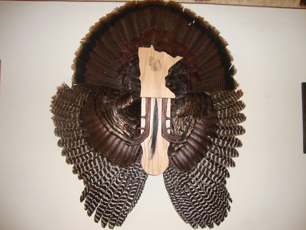 RAW Escapes - taxidermy in Maple Lake, MN