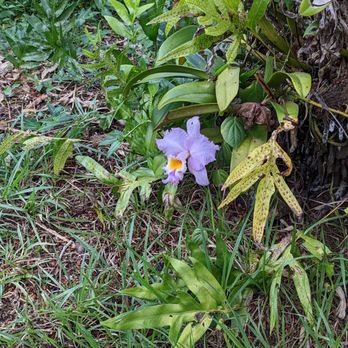 Lydgate Farms - Botanical Gardens Near Me - Kapaa, Hawaii