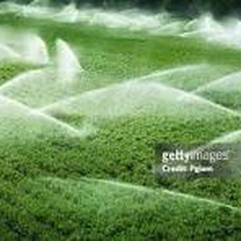 Paniss Irrigation System - Lawn Services Near Me