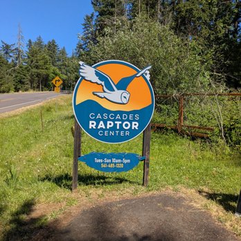 Cascades Raptor Center - Zoos Near Me - Eugene, Oregon