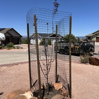 Grass Roots Landscape - Those pesky elk eating your trees? Let's keep them off with a little protection! - Landscaping Near Me