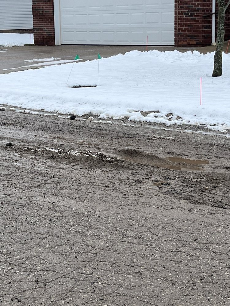 Ace Landscaping, Lawn Care & Snow Removal - tree service in Ferndale, MI