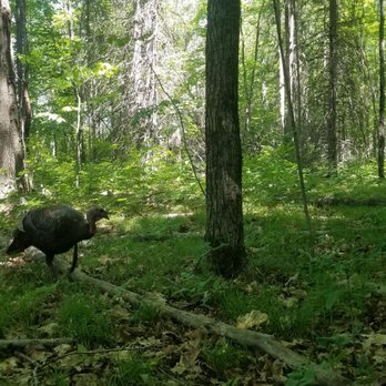 Beaver & Chipmunk Trails - Hiking Near Me - Ottawa, Ontario Beaver & Chipmunk Trails - Hiking Near Me - Ottawa, Ontario