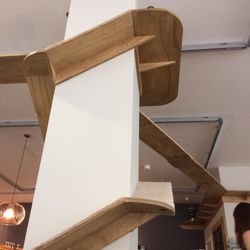 Cat Café Manchester - Cool cat ramp