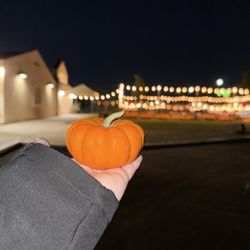 The Pumpkin Patch - Tiny pumpkin with patch background