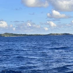 Castaway Girl Snorkling Tours - Picture of the island cove for sea turtles