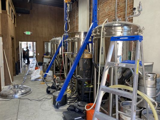 Settle Down Brewery & Taproom by null