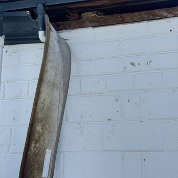Capstone Realty Professionals - Our resident birds nest and longest standing request (our neighbors hate this and complain often) - Real Estate Services Near Me - Phoenix, Arizona