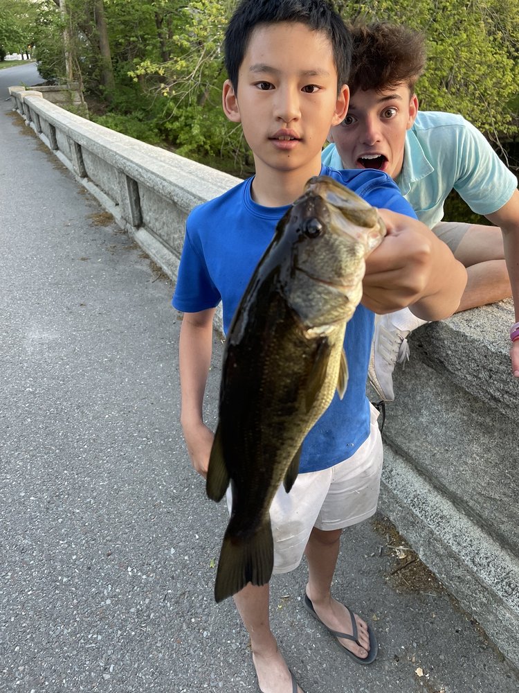 ARLINGTON BAIT & TACKLE Updated July 2024 21 Photos & 25 Reviews