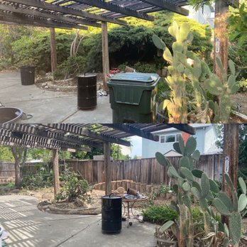 SSR Tree & Trimming Services - Before and after - Tree Services Near Me SSR Tree & Trimming Services - Before and after - Tree Services Near Me