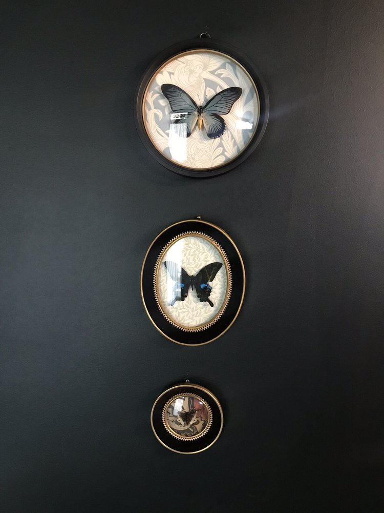 Sweet Medicina - grief counselor in Oakland, CA