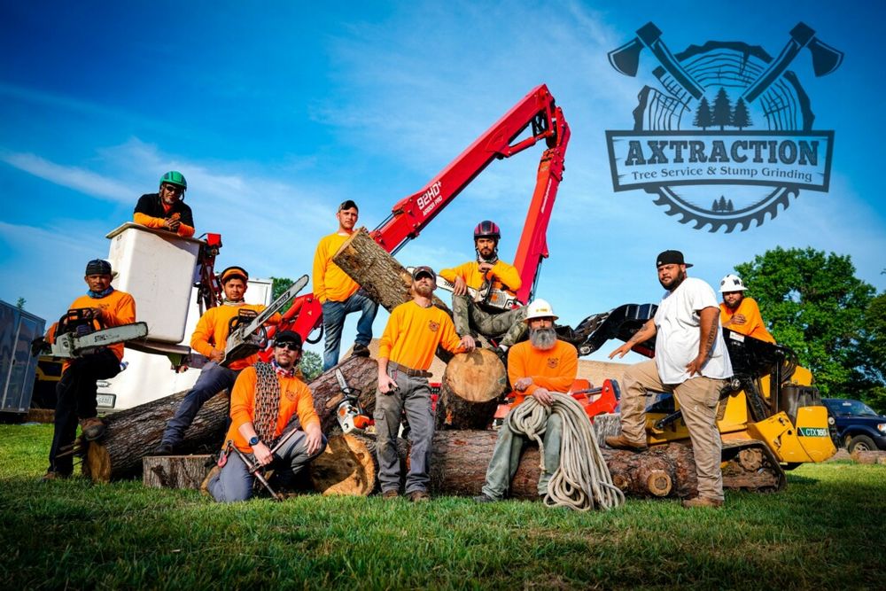 Axtraction - tree service in Indian Trail, NC