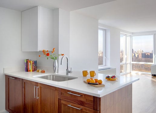 1214 Fifth Avenue Luxury Apartments by null