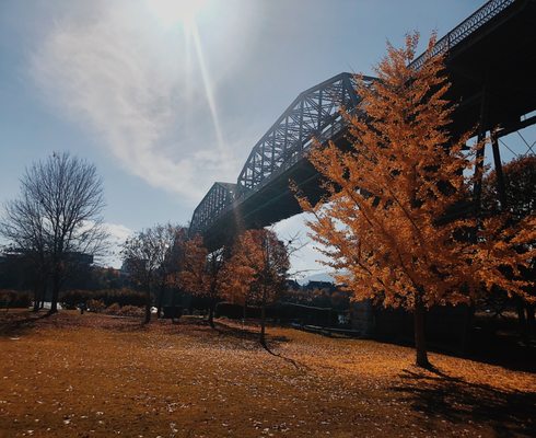 Walnut Street Bridge by null