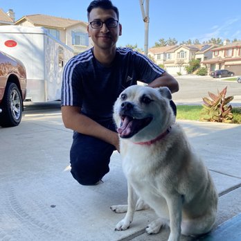 Fresh Pup Spa - Post pampering w/ Javier - Pet Groomers Near Me Fresh Pup Spa - Post pampering w/ Javier - Pet Groomers Near Me