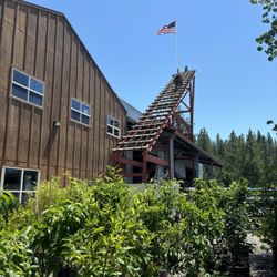 Hills Flat Lumber - Cute building design