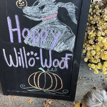 Barktown Willoughby - Pet Stores Near Me - Willoughby, Ohio