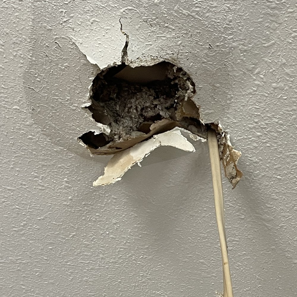 And Services - Day 1 ceiling fan fell to the floor. - Heating & Air Conditioning/HVAC Near Me - Tampa, Florida