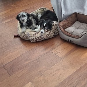 Big D Floor Covering Supplies Flooring 7261 Lampson Ave Garden Grove Ca Phone Number Yelp