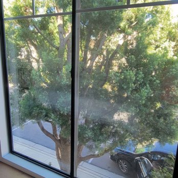 OCD Window Cleaning - My window is finally clean enough for me to get a nice view and sunlight in. - Window Washing Near Me OCD Window Cleaning - My window is finally clean enough for me to get a nice view and sunlight in. - Window Washing Near Me