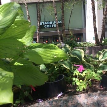 Starbucks - Hidin gem - Coffee & Tea Near Me - Providence, Rhode Island Starbucks - Hidin gem - Coffee & Tea Near Me - Providence, Rhode Island