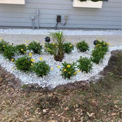 Gomez Landscaping Multiservice - Plants and rocks added to garden
