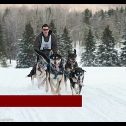 Ultimate Dog Sledding Experience