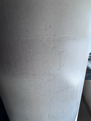 Buffalo Wild Wings by null