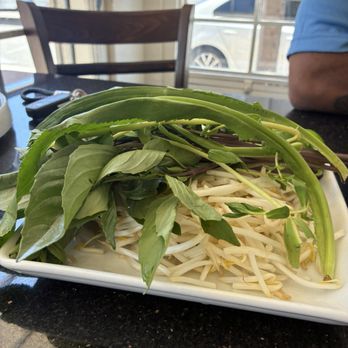Pho Minh - Heavy with the fresh garnish - Vietnamese Near Me - San Diego, California Pho Minh - Heavy with the fresh garnish - Vietnamese Near Me - San Diego, California