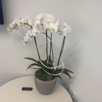 Ultimate Floral Designs - Florists Near Me - Great Falls, Virginia Ultimate Floral Designs - Florists Near Me - Great Falls, Virginia