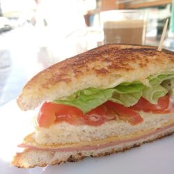 Urogallo