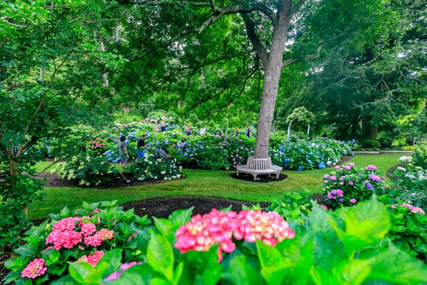 Heritage Museums & Gardens by null