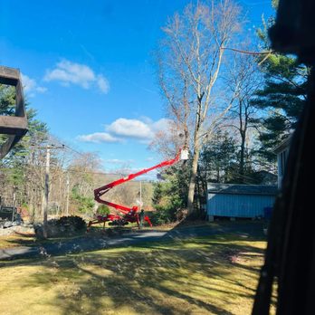 Andy's Tree Service - Tree Services Near Me Andy's Tree Service - Tree Services Near Me