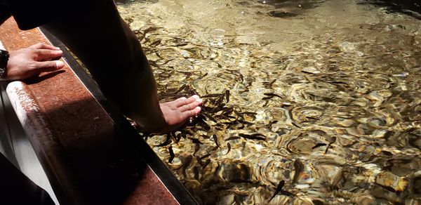 St. Louis Aquarium at Union Station by null