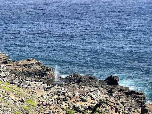 Nakalele Blowhole by null