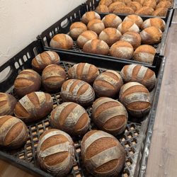 Dishon Bakery