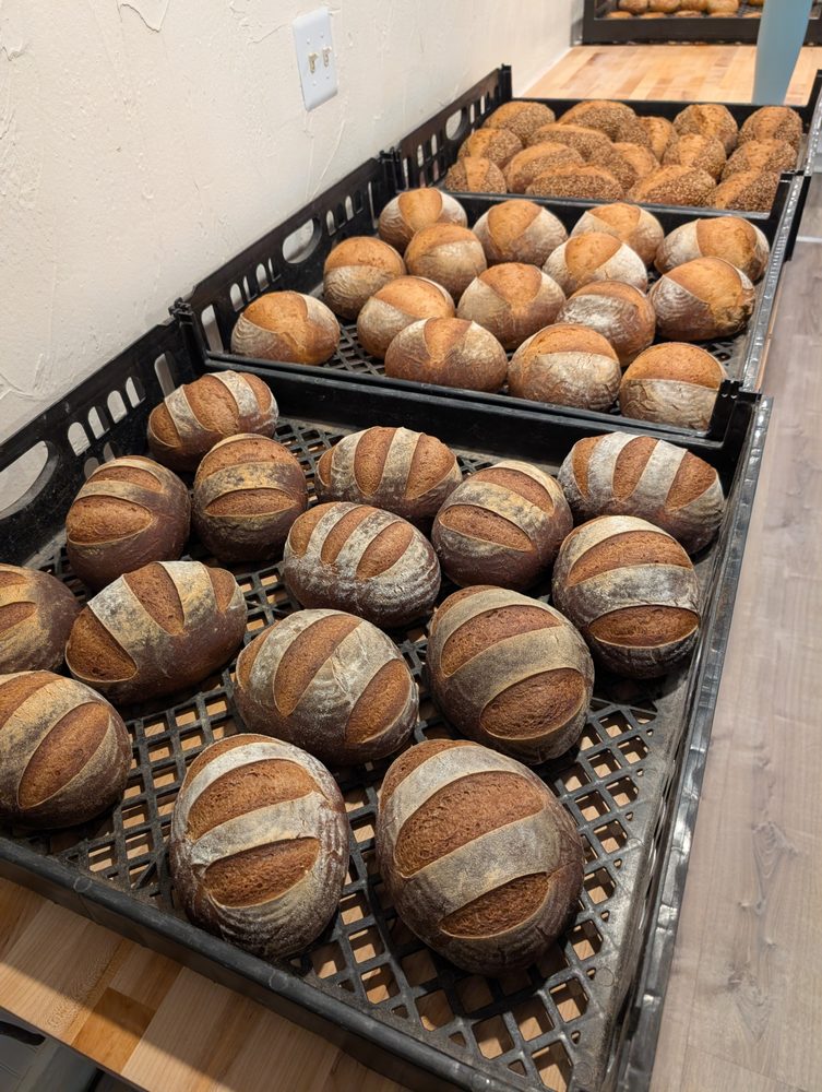 Dishon Bakery Image