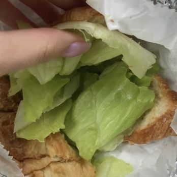 Bagel and Bean Cafe - a hand holding a sandwich - Bagels Near Me - Mount Kisco, New York Bagel and Bean Cafe - a hand holding a sandwich - Bagels Near Me - Mount Kisco, New York
