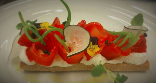 Hôtellerie "Les Terrasses de Corton" by null