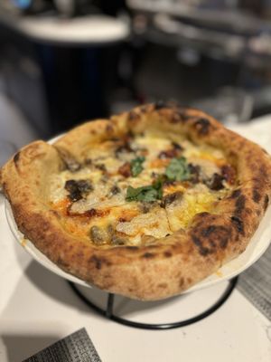 Piccolo Buco by Cooper's Hawk by null