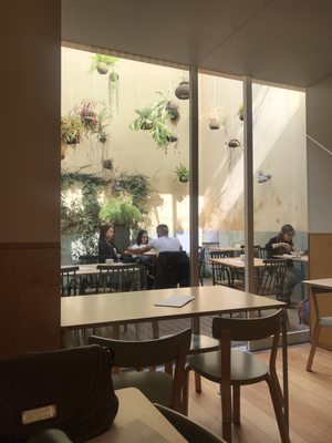 Noshi Coffee by null
