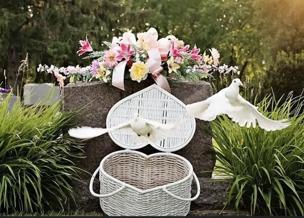 WHITE DOVE RELEASE OF DETROIT Request Information 14 Photos 14034