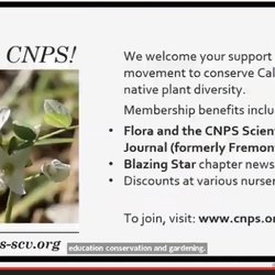 California Native Plant Society - CNPS Santa Clara Chapter- Palo Alto